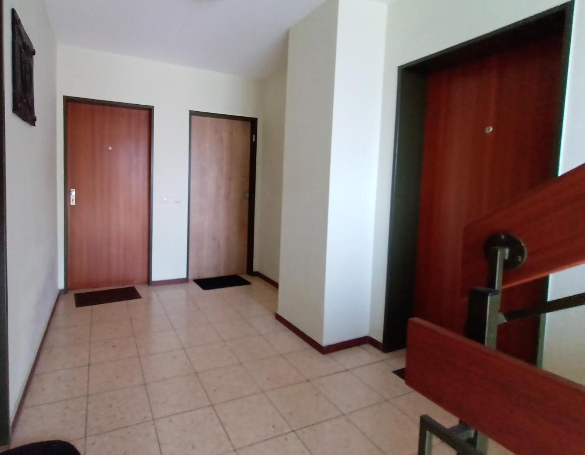 Bodensee Apartments Friedrichshafen Schnetzenhausen Ngoại thất bức ảnh